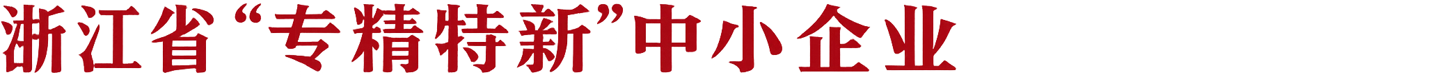 ZJ